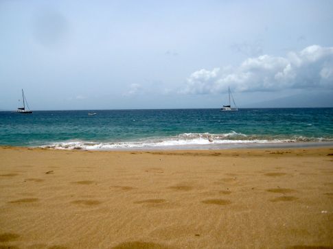 todays_image_2