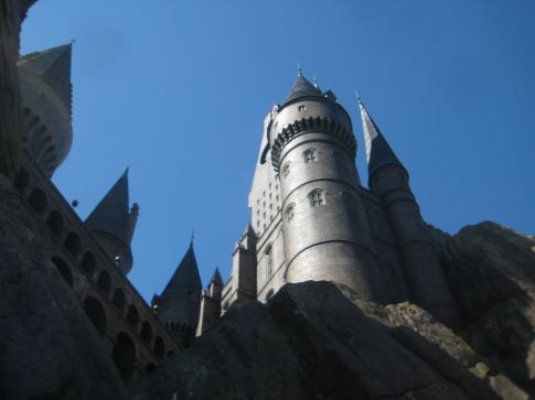 todays_image_3